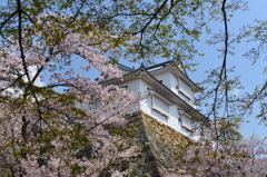鶴山公園　津山城