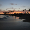 Waikiki Beach 11