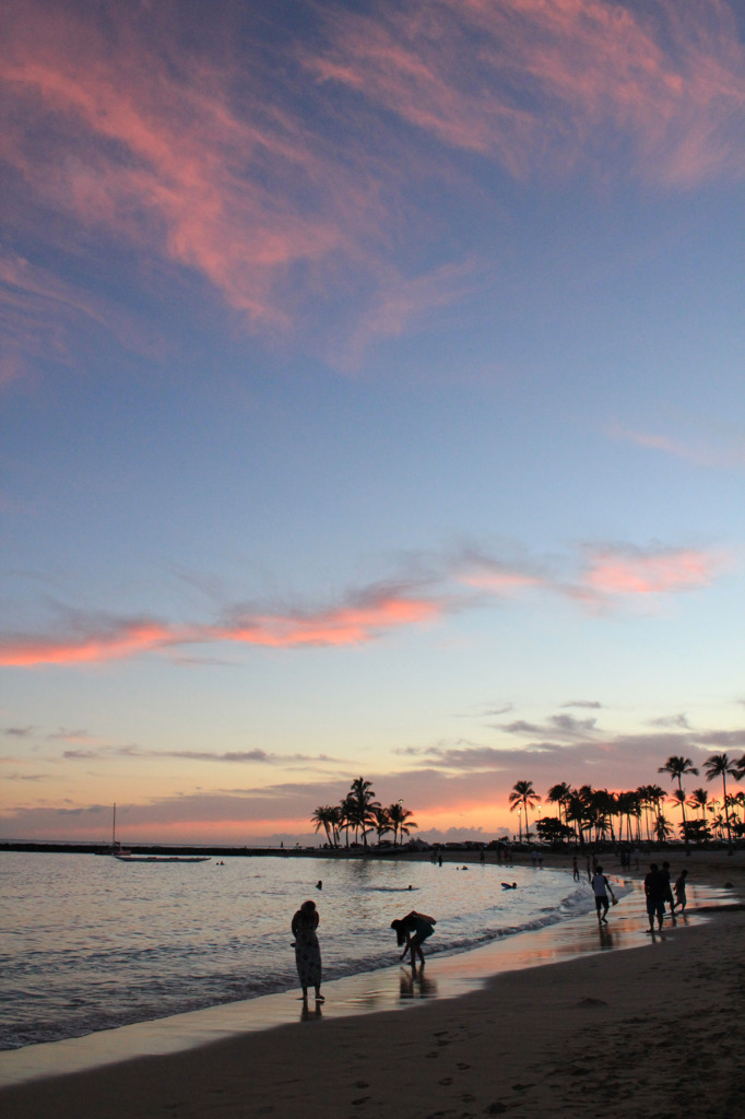 Waikiki Beach 12