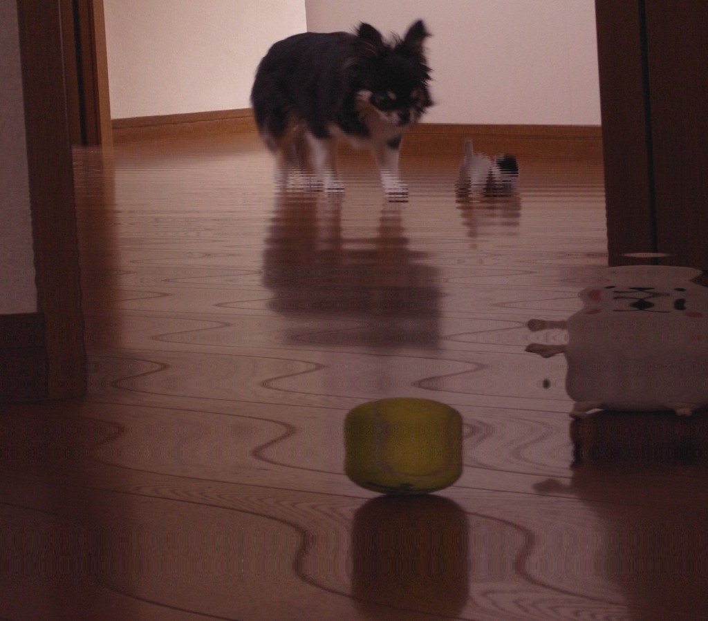 夢の中へ