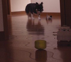 夢の中へ