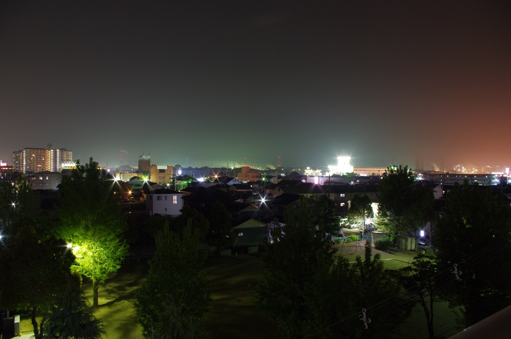 CHO_6244