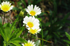 photo1204722