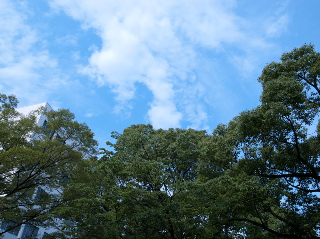 青空
