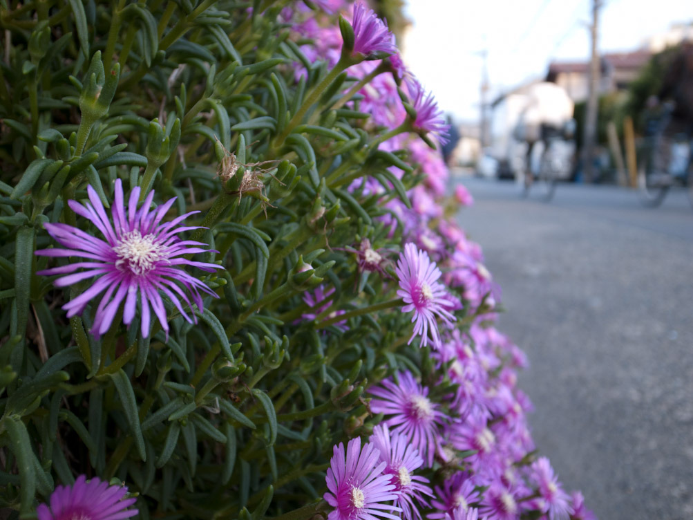 R0010908