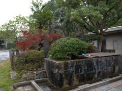 築地本願寺