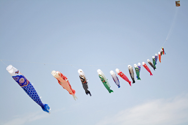 空を泳ぐ