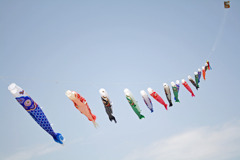 空を泳ぐ
