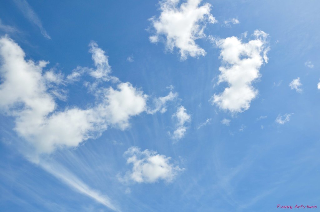 あの青空へ・・・