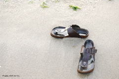 夏の思い出