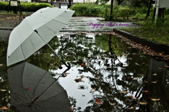 小雨降るなか