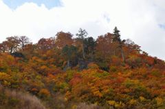 山燃える