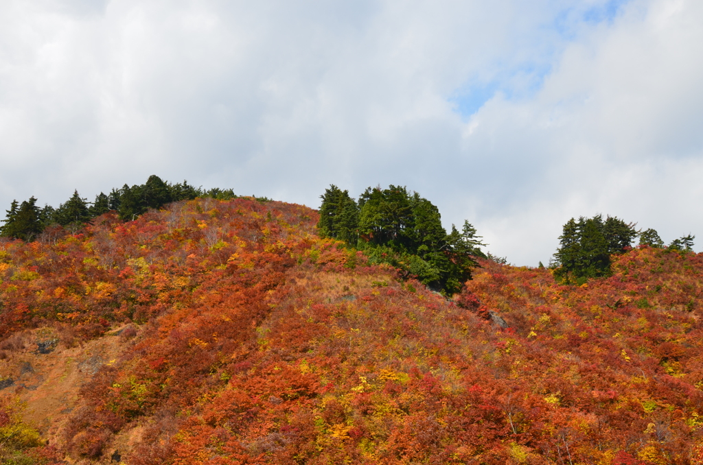 紅山