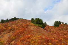 紅山