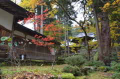 福井　永平寺１