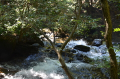 流れ５
