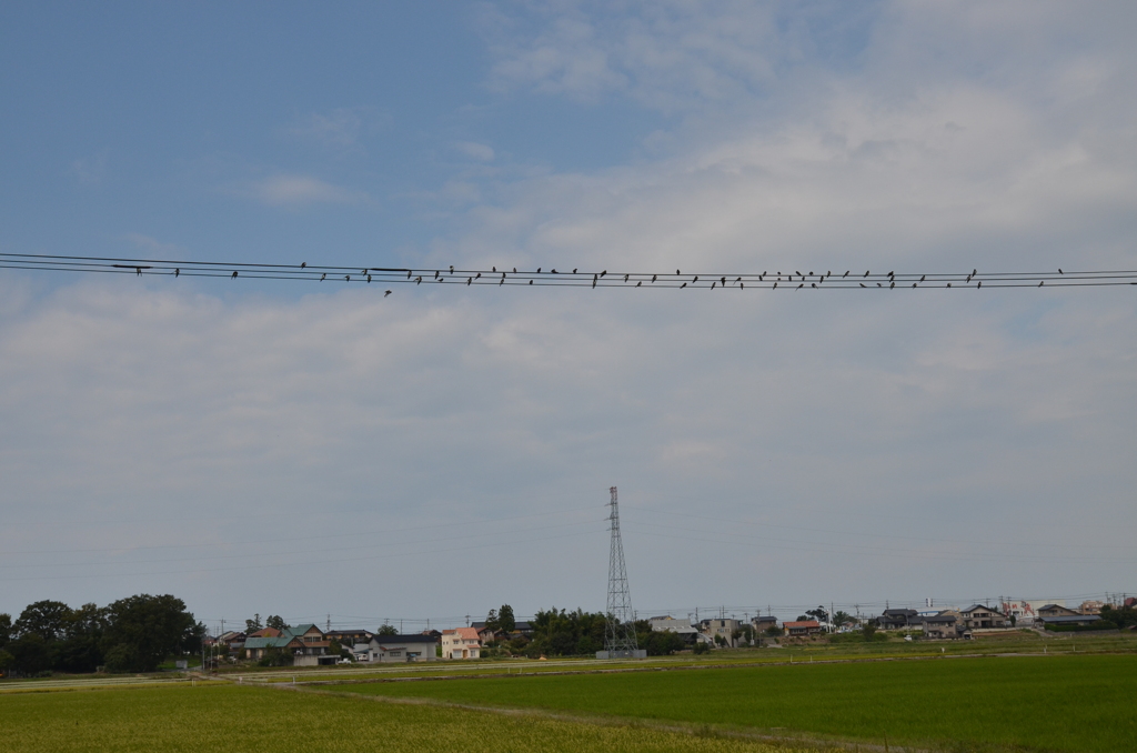 おしゃべり