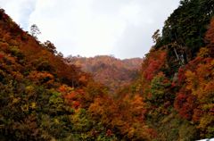 山燃ゆる