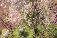 DSC00307