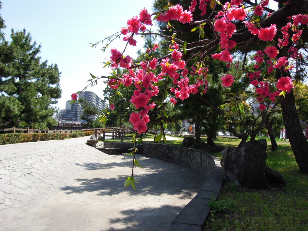 遊歩道