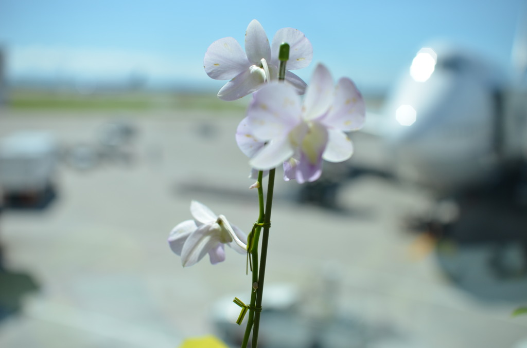 那覇空港