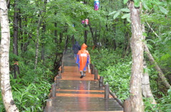 FRF2011