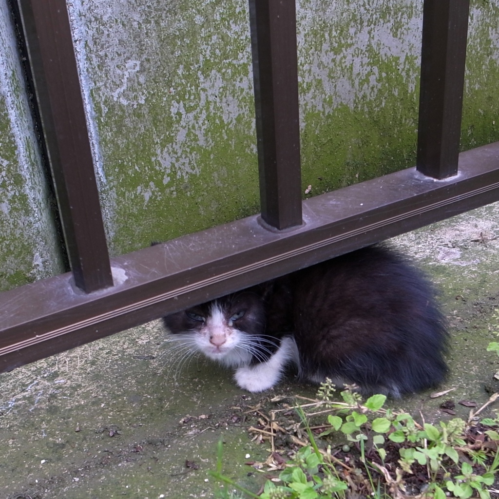 「いぢめる？」