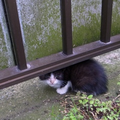 「いぢめる？」