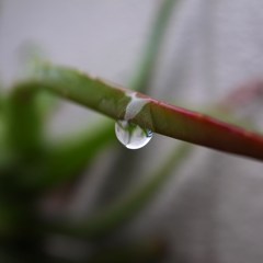 落下3秒前