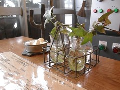 穏やかな休日