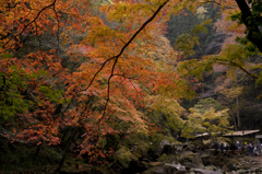 赤目四十八滝_11