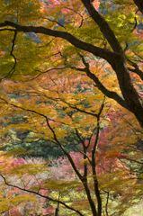 牛滝山５