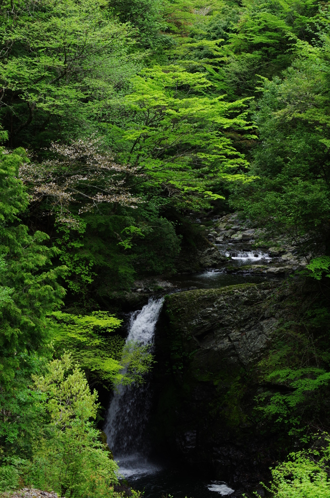 高野大滝