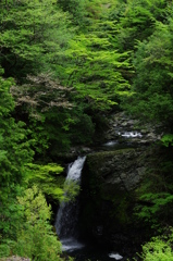 高野大滝