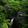 高野大滝