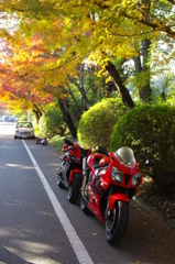 赤２つ①