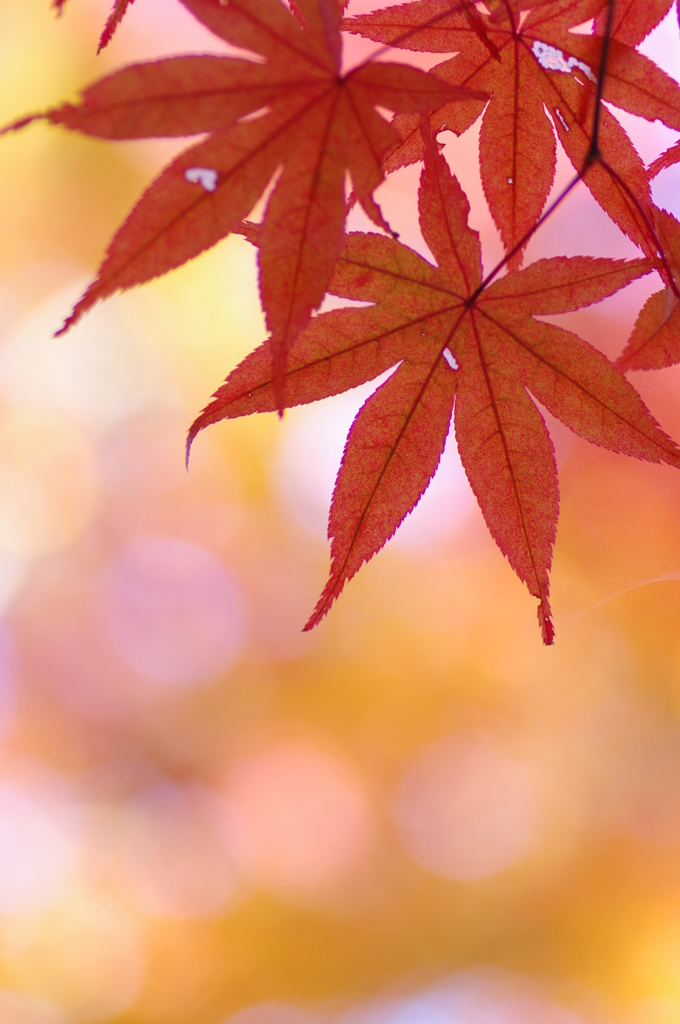 牛滝山⑤