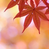 牛滝山⑤