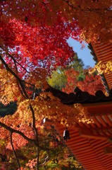 牛滝山②