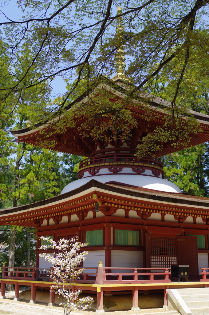 高野山④
