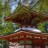 高野山④