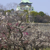 大阪城公園⑭