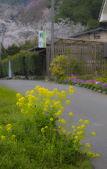 根来寺周辺
