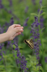 Release