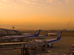 伊丹空港１