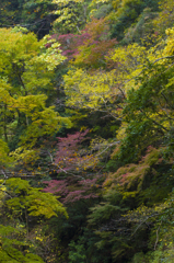 赤目四十八滝_8