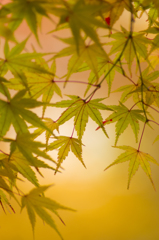 牛滝山１７