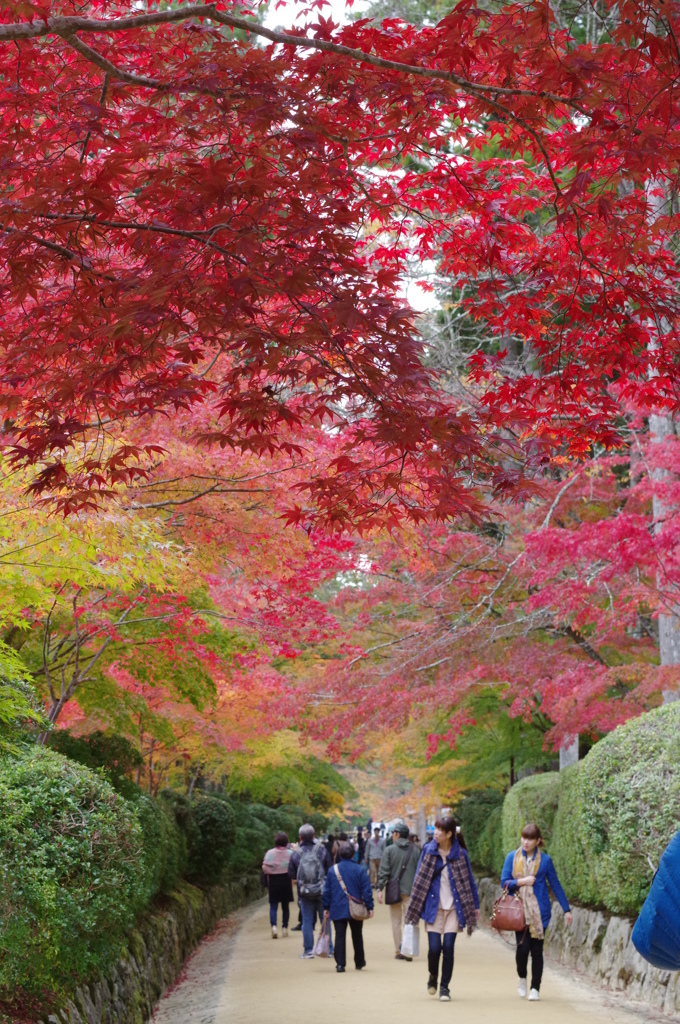 高野山⑥