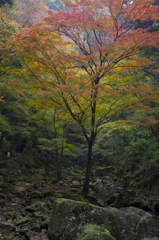 赤目四十八滝_9