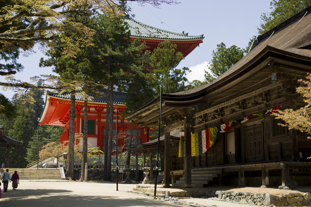 初夏の高野山④